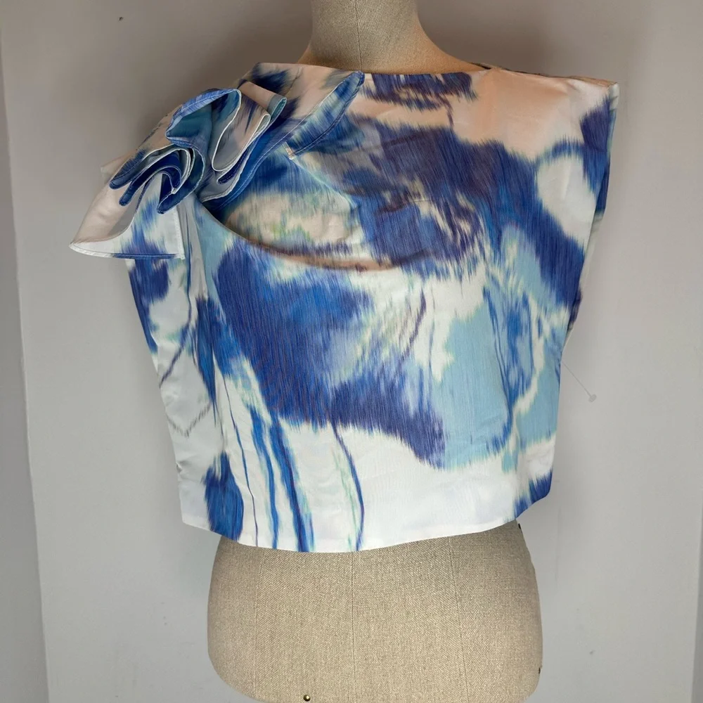 LELA ROSE
Ruffled Abstract-Print Crepe De Chine Crop Top - Picture 7 of 7